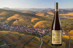 DOMAINE MARCEL DEISS 2006