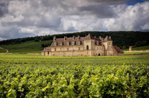DOMAINE Méo Camuzet