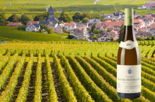 DOMAINE RAMONET 2017