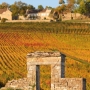 Burgundy Crus