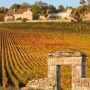 Burgundy Grand Crus