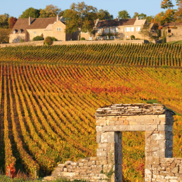 Burgundy Grands Crus Classification