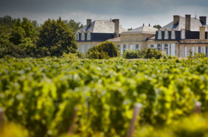 Château Leoville Las Cases