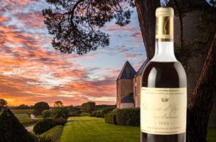 CHÂTEAU D'YQUEM 1955