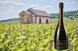 KRUG Brut 1995