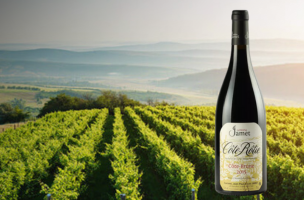 DOMAINE JAMET 2015