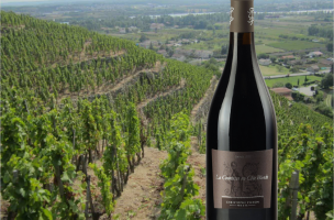 domaine christophe pichon 2018