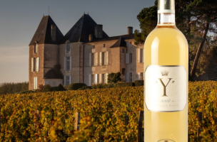Y D'YQUEM 2008