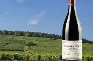 DOMAINE de la Romanée conti
