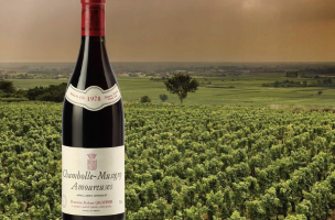 domaine groffier robert 1978