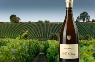 Le Léon Extra brut 2014