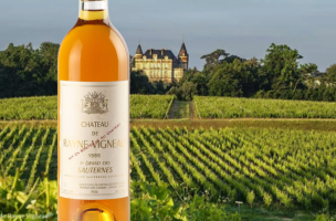 de rayne vigneau 1986