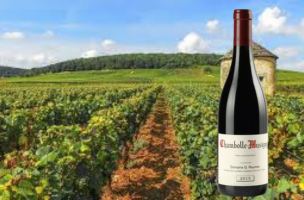 DOMAINE GEORGES ROUMIER 2015