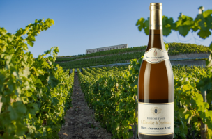 Chevalier de Sterimberg 2007