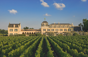 Learn more about the Pessac Leognan appellation