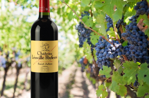 leoville poyferre 2006