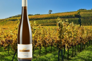 DOMAINE DIRLer-cadé 2019