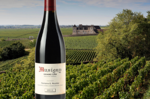 Domaine Georges Roumier