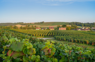 Champagne Region