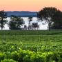 Wines from the Saint-Estephe appellation in stock at Sodivin