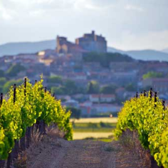 Languedoc-Roussillon region