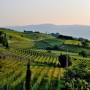 Rhône Region