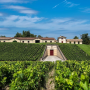 Château Lafite Rothschild, our article