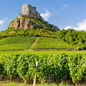 Premiers Crus Burgundy