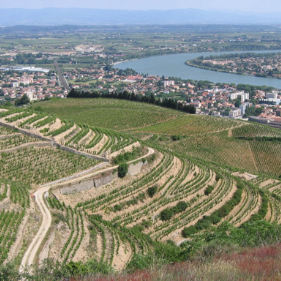 Hermitage Appellation