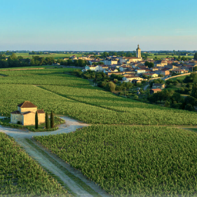 Saint Estèphe Appellation
