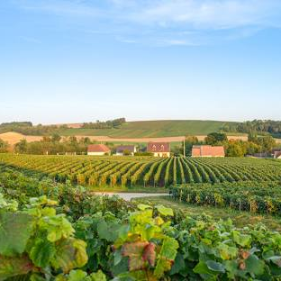 Champagne Region