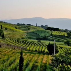 Rhône Region