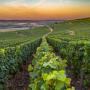 Champagne Region