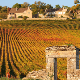 Burgundy Grand Crus