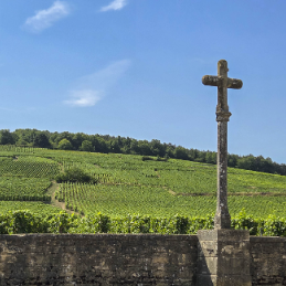 Domaine de la Romanée Conti