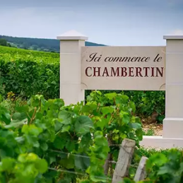 Chambertin Grand Cru Appellation