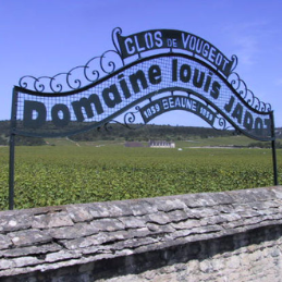 Learn more about Maison Louis Jadot