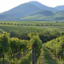 Riesling Appellation