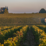 Learn more about the Pauillac appellation