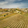 Discover our article