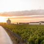 Château Latour, our article