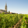 Learn more about the Pomerol appellation